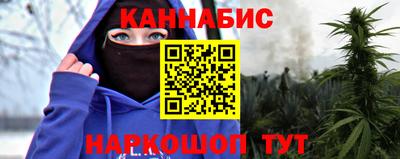 сатива Краснознаменск