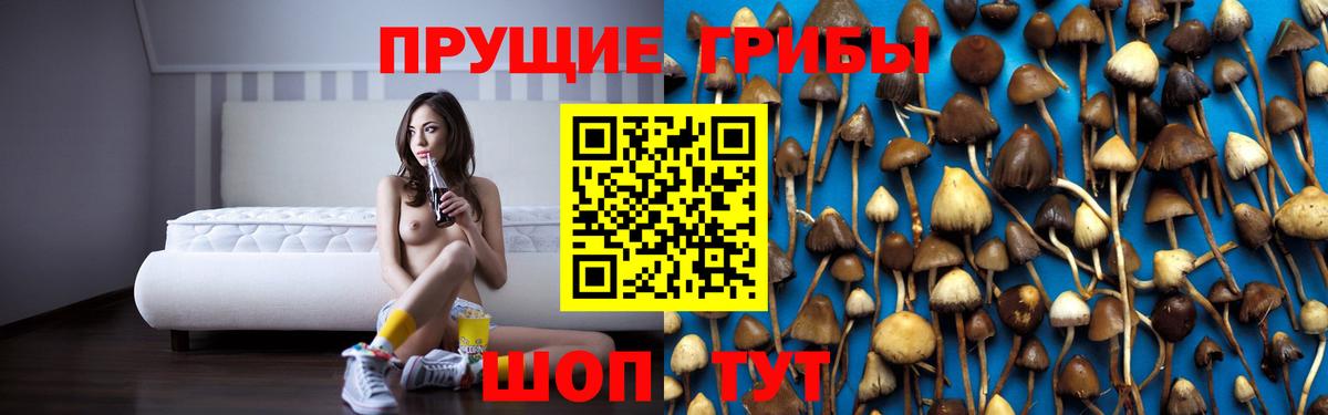 Галлюциногенные грибы Psilocybe Анапа